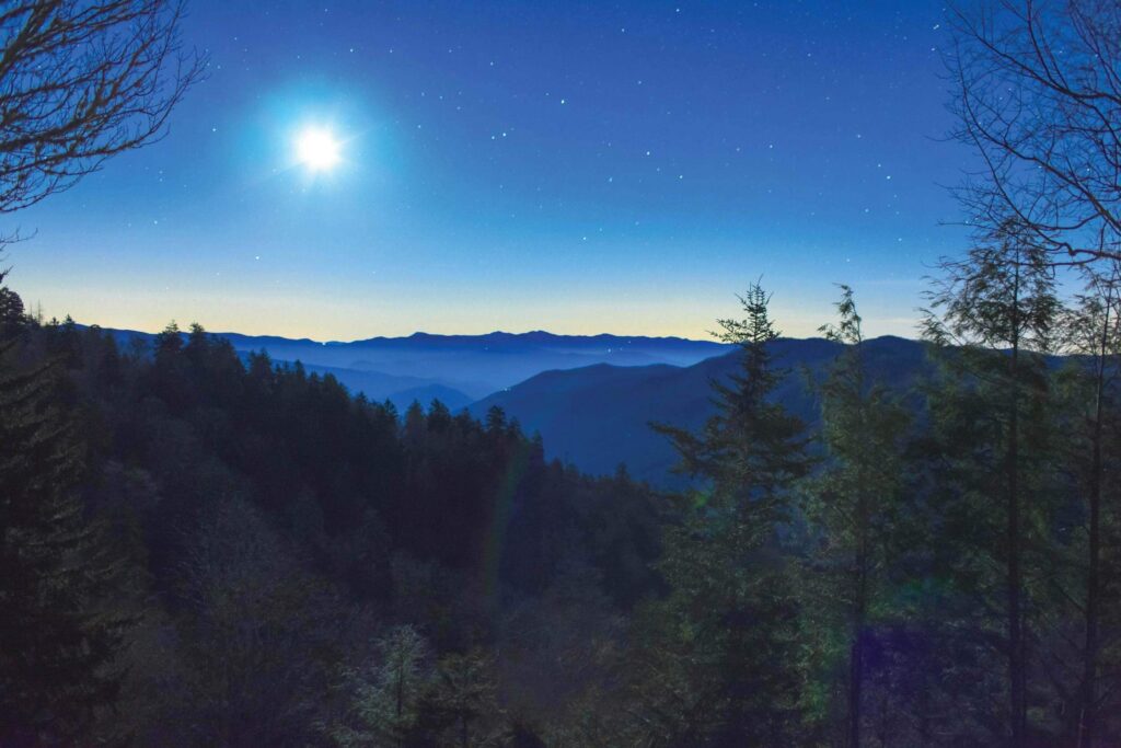 Moonlit view over forested mountain ridges at night.