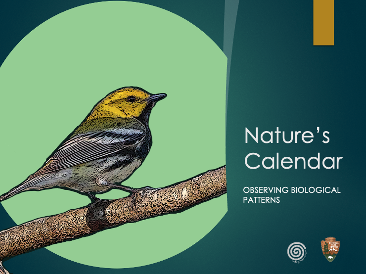 Nature’s Calendar title slide with an illustration of a yellow-headed songbird perched on a branch and the subtitle “Observing biological patterns.”