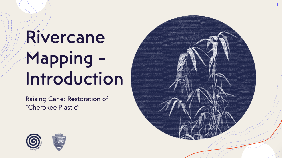 Rivercane Mapping introduction slide with an illustration of rivercane stalks and the subtitle “Raising Cane: Restoration of ‘Cherokee Plastic.’”